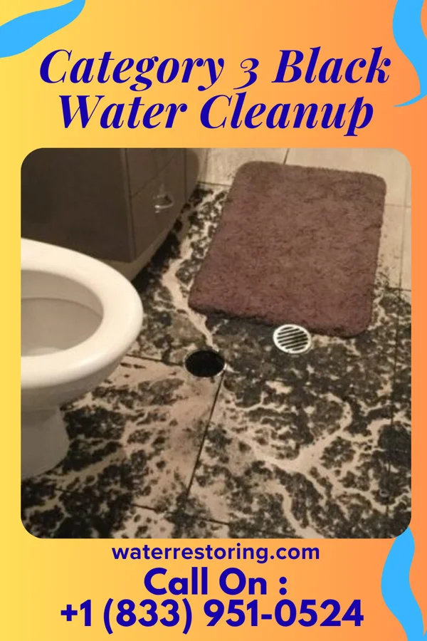 Category 3 Black Water Cleanup in Cottage Grove, WI