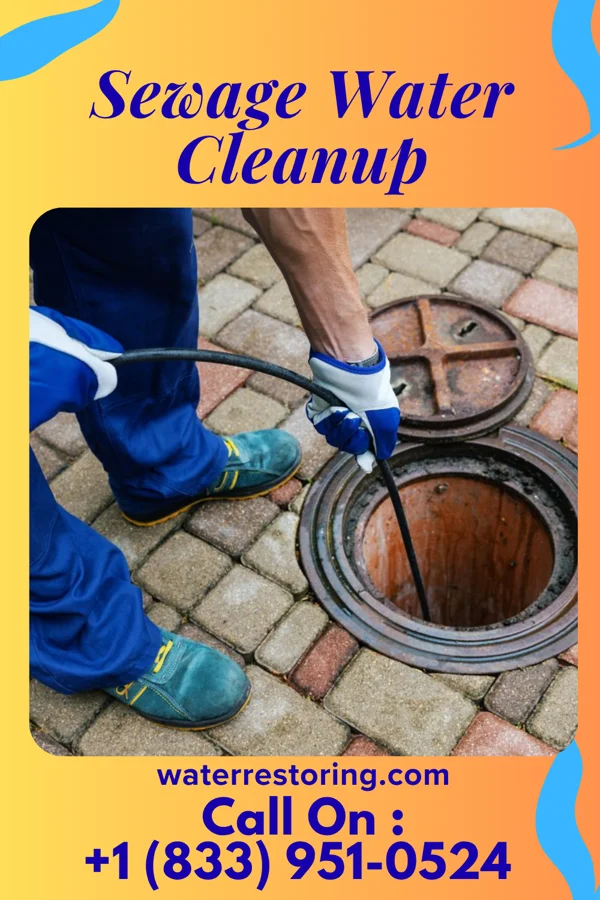 Sewage Water Cleanup in Cottage Grove, WI